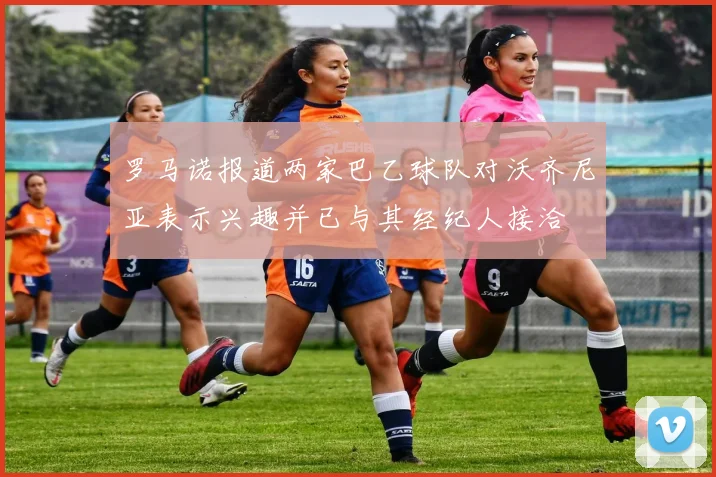 罗马诺报道两家巴乙球队对沃齐尼亚表示兴趣并已与其经纪人接洽
