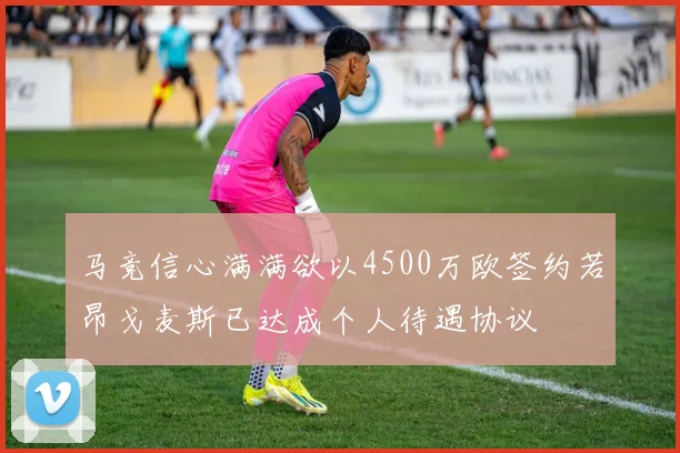 马竞信心满满欲以4500万欧签约若昂戈麦斯已达成个人待遇协议