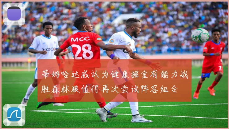 蒂姆哈达威认为健康掘金有能力战胜森林狼值得再次尝试阵容组合